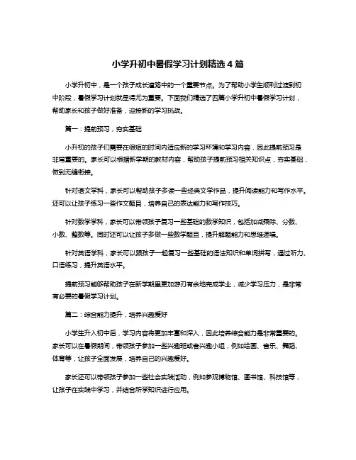 小学升初中暑假学习计划精选4篇
