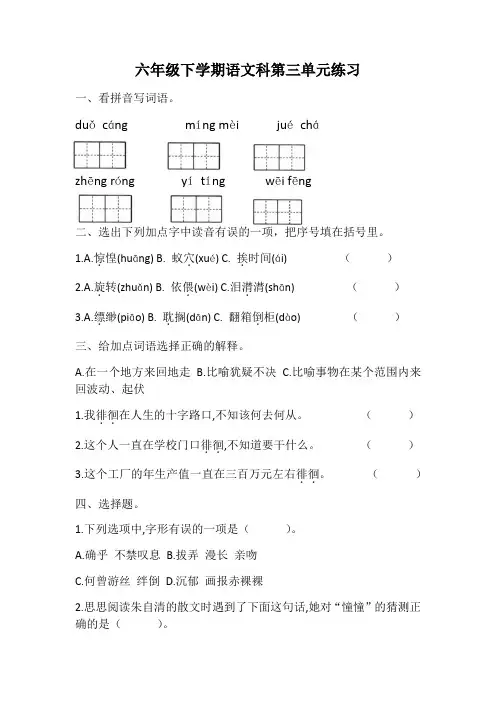 第三单元(单元测试)-部编版语文六年级下册