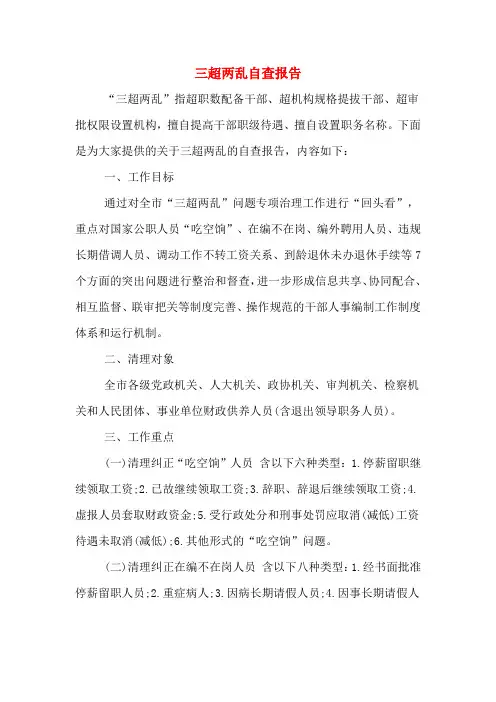 三超两乱自查报告