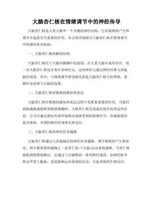 大脑杏仁核在情绪调节中的神经传导