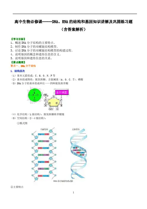 高中生物必修课-----DNA、RNA的结构和基因知识讲解及巩固练习题(含答案解析)