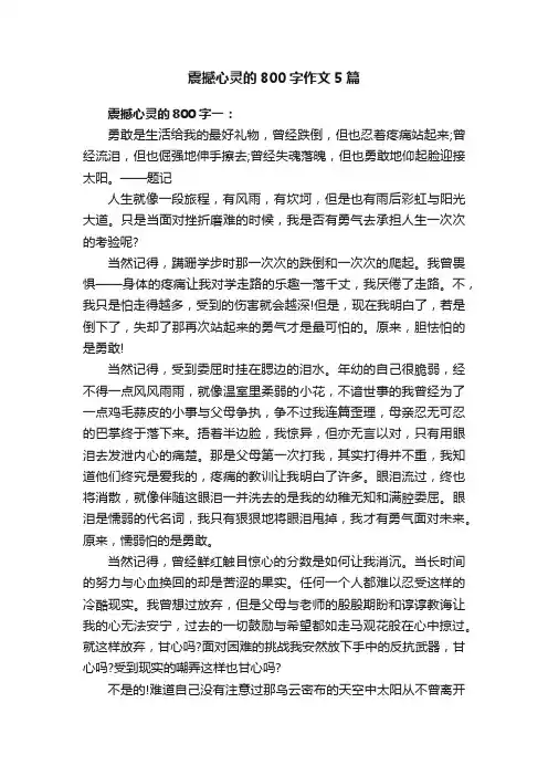 震撼心灵的800字作文5篇