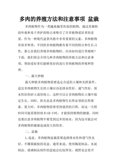多肉的养殖方法和注意事项 盆栽