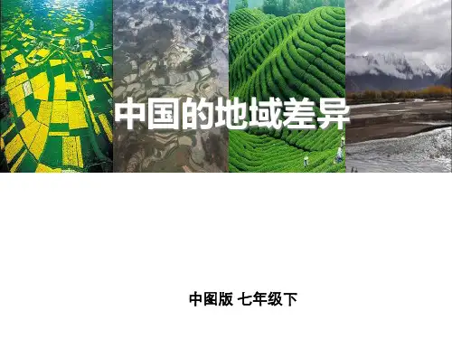 中国的地域差异PPT课件
