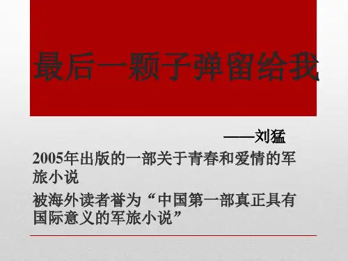 最后一颗子弹留给我