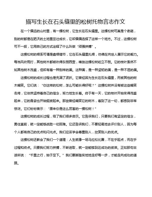 描写生长在石头缝里的松树托物言志作文