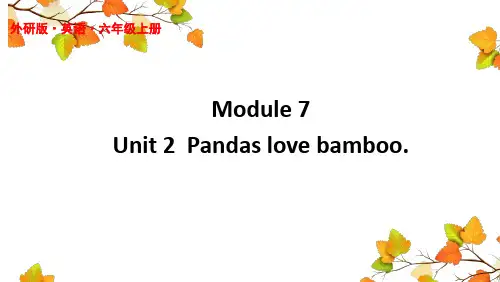 外研版六年级英语上册 Module 7 Unit 2 Pandas love bamboo.课件3