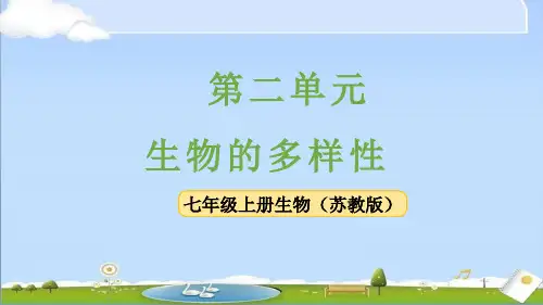 2024年新苏教版七年级上册生物课件 第5章 无处不在的微生物 第1节 真菌、细菌和病毒