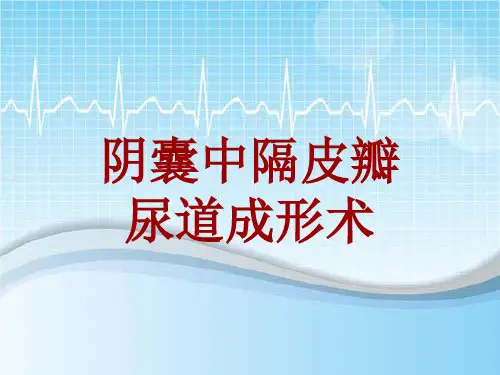 手术讲解模板：阴囊中隔皮瓣尿道成形术