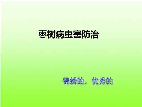 枣树病虫害