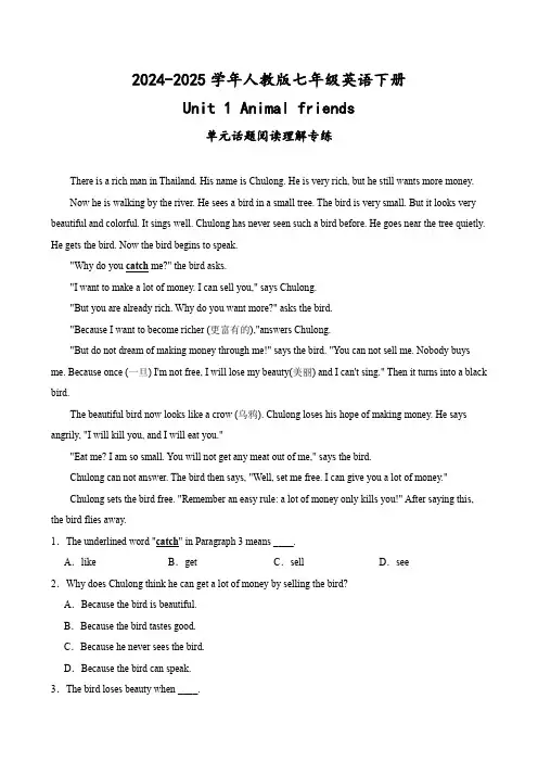 单元话题阅读理解专练2024-2025学年七年级英语下册单元重难点高频易错题专练