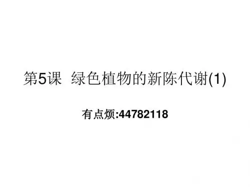 九年级科学绿色植物的新陈代谢(中学课件2019)