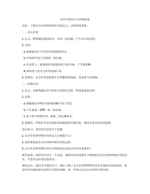 初中生物光合与呼吸教案