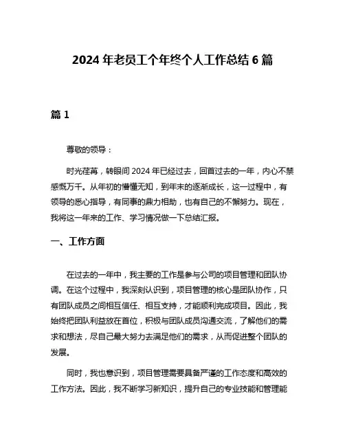 2024年老员工个年终个人工作总结6篇