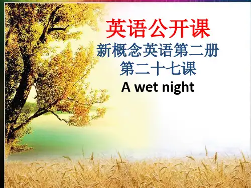 新概念二 Lesson 27 A wet night