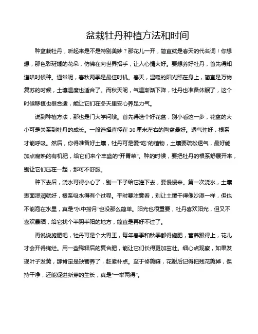 盆栽牡丹种植方法和时间