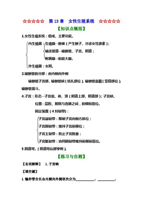 10女性生殖系统
