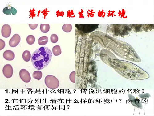 细胞生活的环境PPT课件(原文)高中生物必修