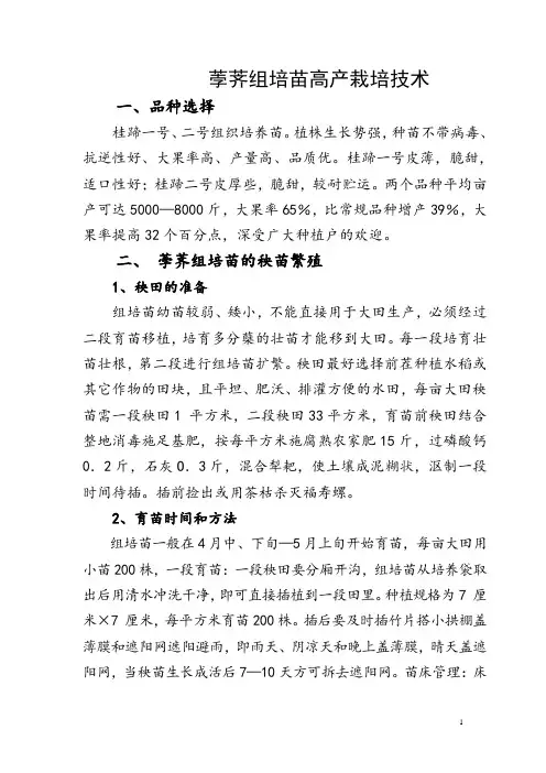 荸荠高产栽培技术(正)