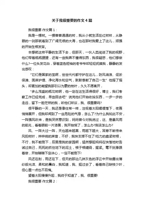 关于我很重要的作文4篇