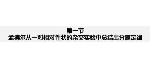 分离定律PPT