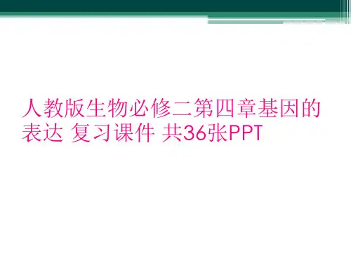 人教版生物必修二第四章基因的表达 复习课件 共36张PPT