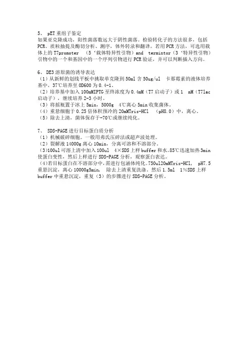 原核表达步骤