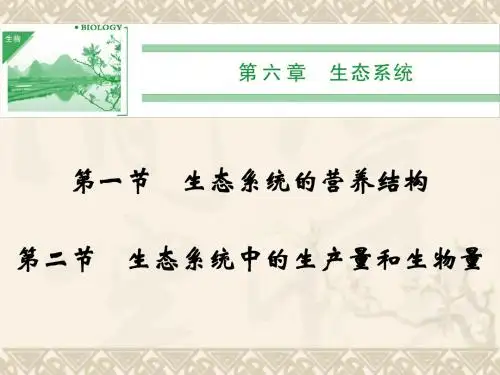 高中生物 6-1,6-2生态系统的营养结构生态系统中的生产量和课件 浙科版必修3