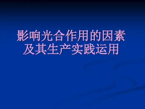 光合作用影响因素