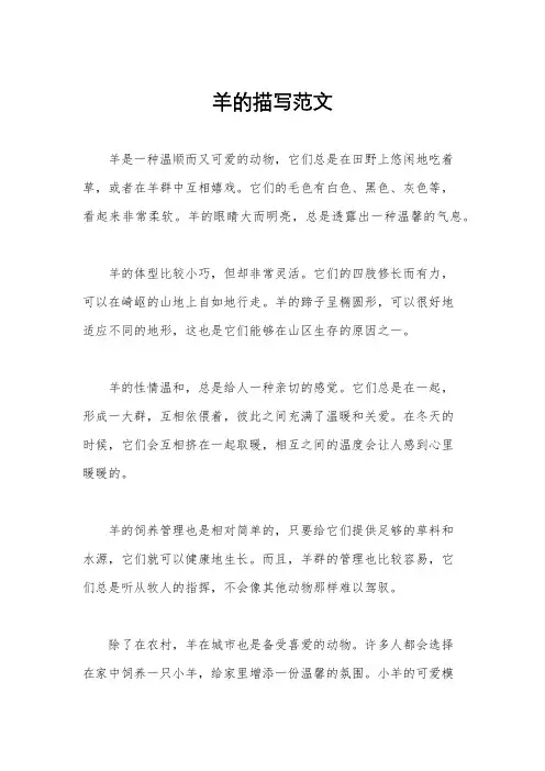 羊的描写范文