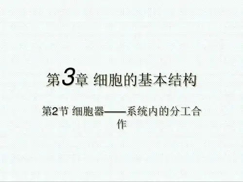 高中生物课件-新人教版高中生物必修13.2《细胞器——