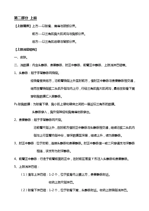 局部解剖学 上肢(纯文字版)