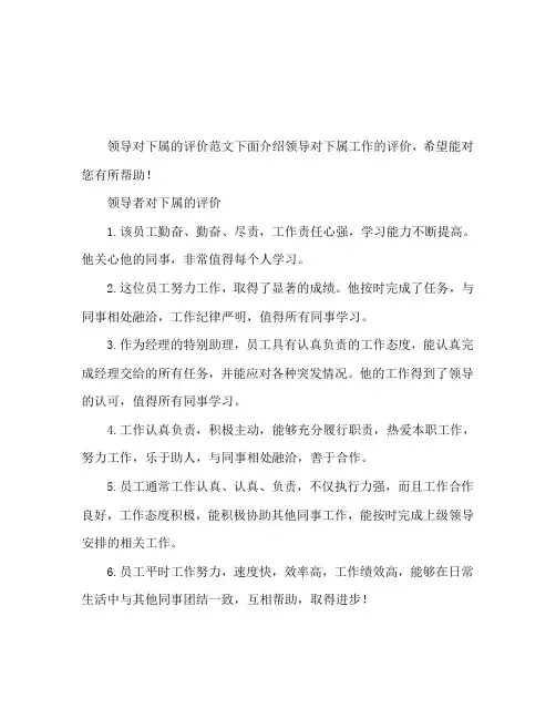 领导对下属的工作评语范文