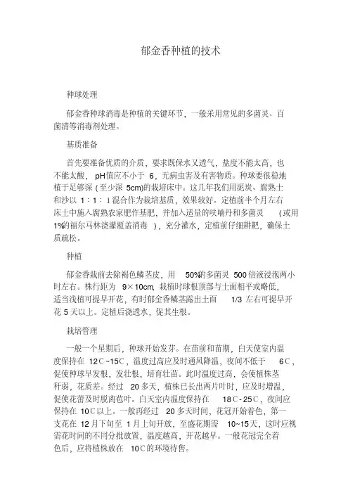 郁金香种植的技术