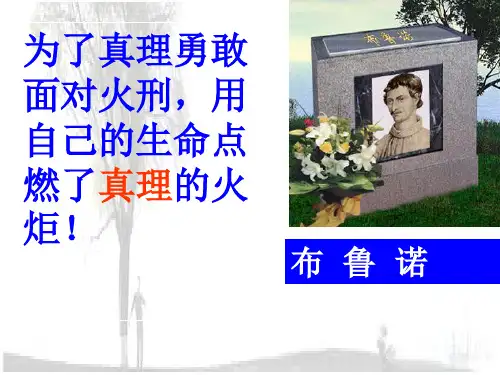 6.2在实践中追求和发展真理