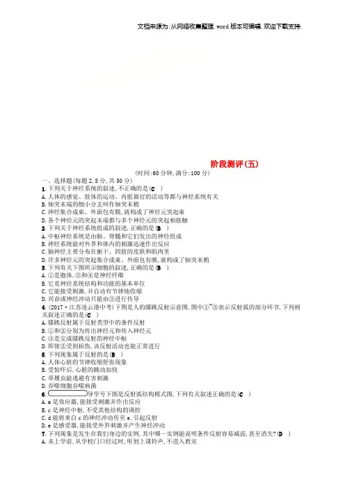 七年级生物下册第12章人体的自我调节阶段测评(五)新版北师大版