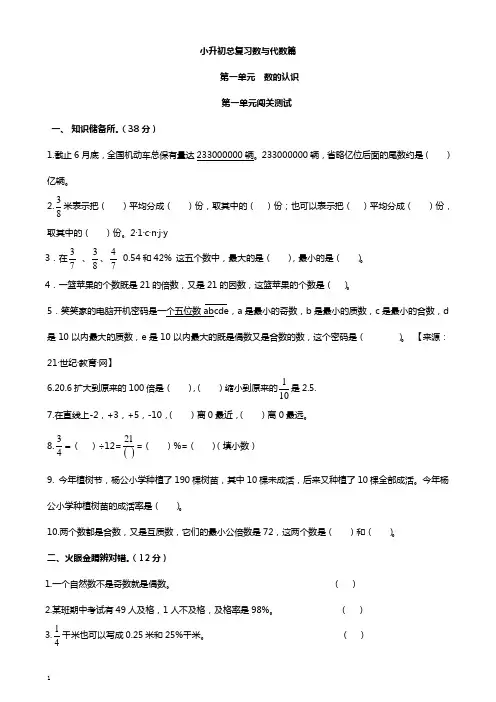 小升初数学总复习数与代数篇(有答案)