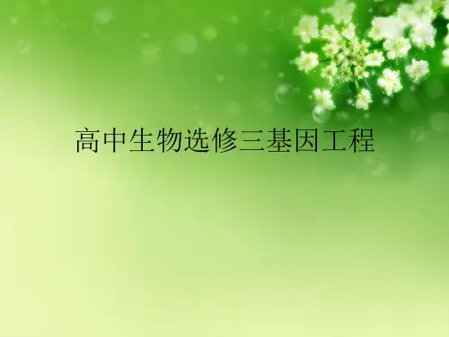 高中生物选修三基因工程优秀课件