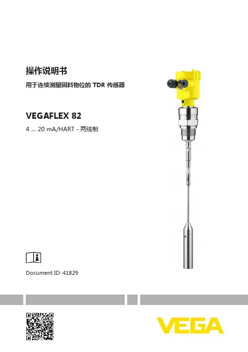 VEGA导波雷达82说明书