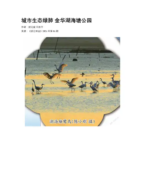 城市生态绿肺 金华湖海塘公园