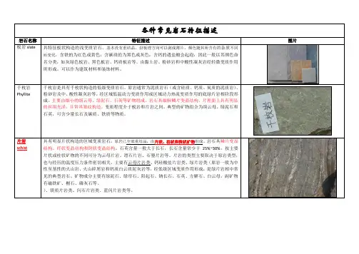 各种常见岩石
