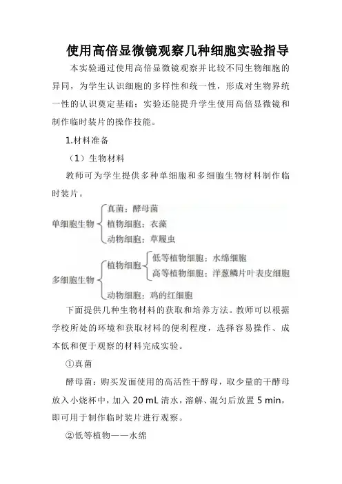 使用高倍显微镜观察几种细胞实验指导