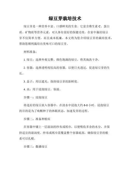 绿豆芽栽培技术