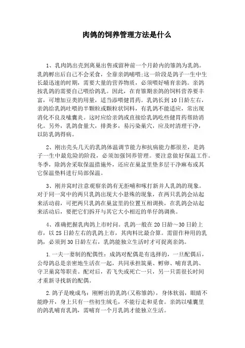 肉鸽的饲养管理方法是什么