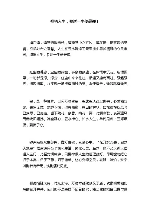 禅悟人生，参透一生便是禅！