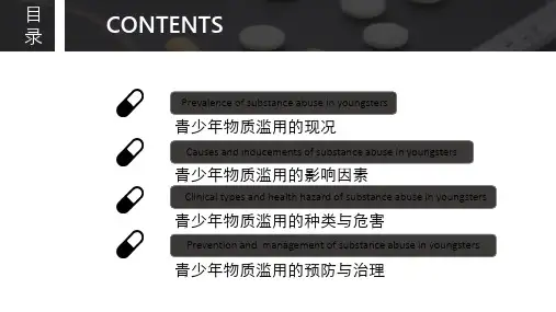 青少年物质滥用2_PPT幻灯片