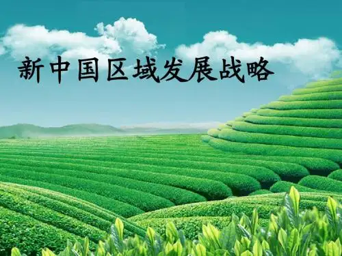 新中国区域发展战略