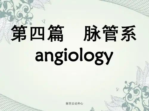 脉管总论和心