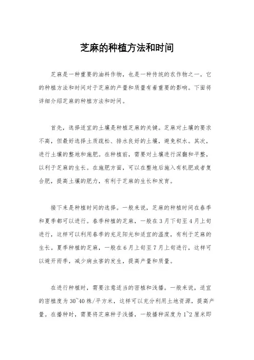 芝麻的种植方法和时间