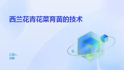 西兰花青花菜育苗的技术